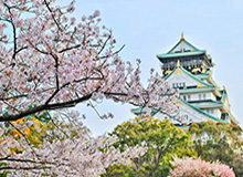 博万体育登录入口-日本三队暗藏J联赛奇人 最矮国脚恐搅乱国足防线